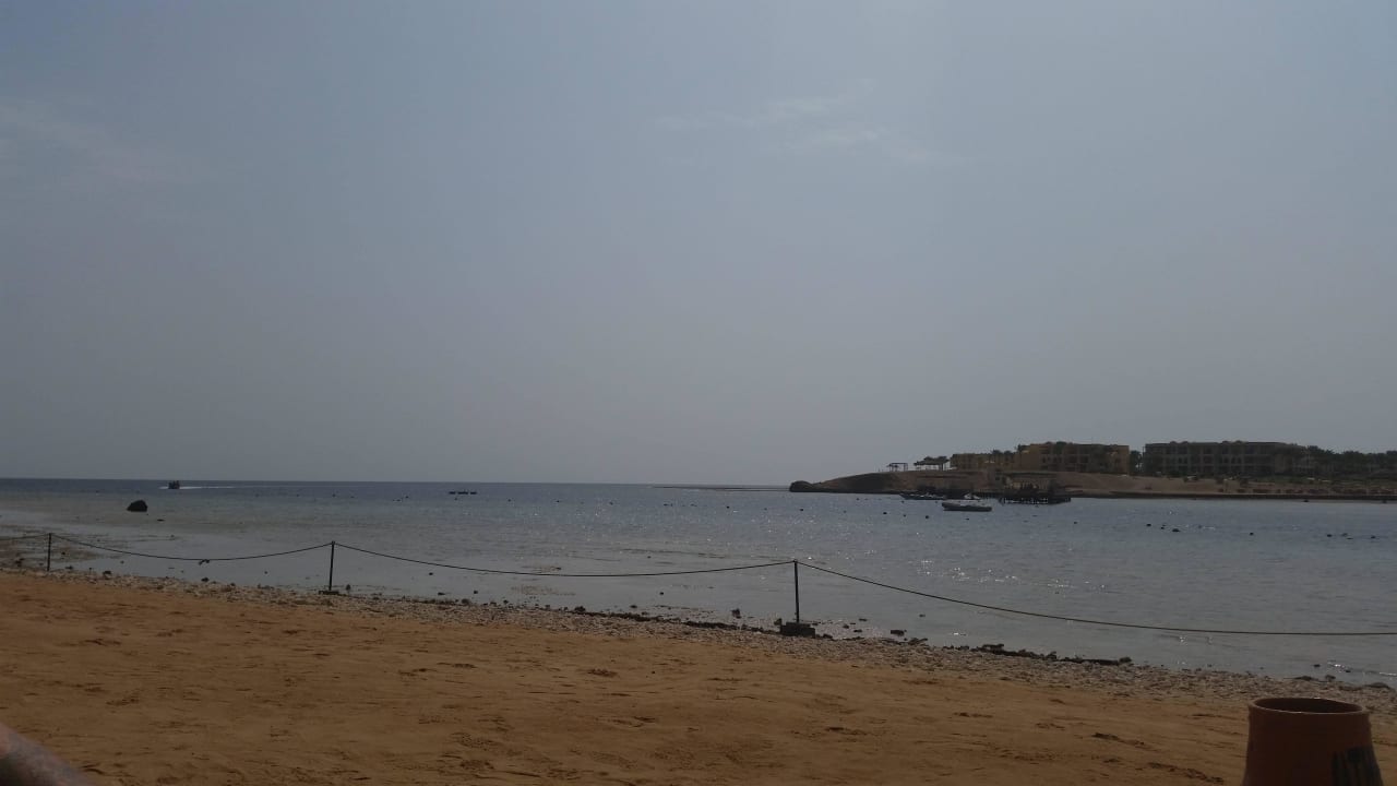 Clean beach Steigenberger Coraya Beach - Adults only