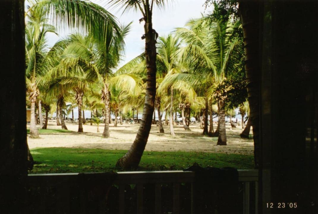 Blick vom Balkon Playabachata Hotel