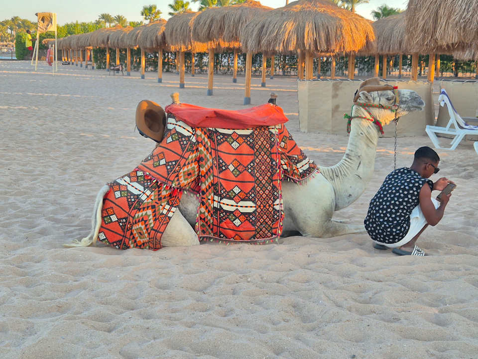 Strand Xanadu Makadi Bay