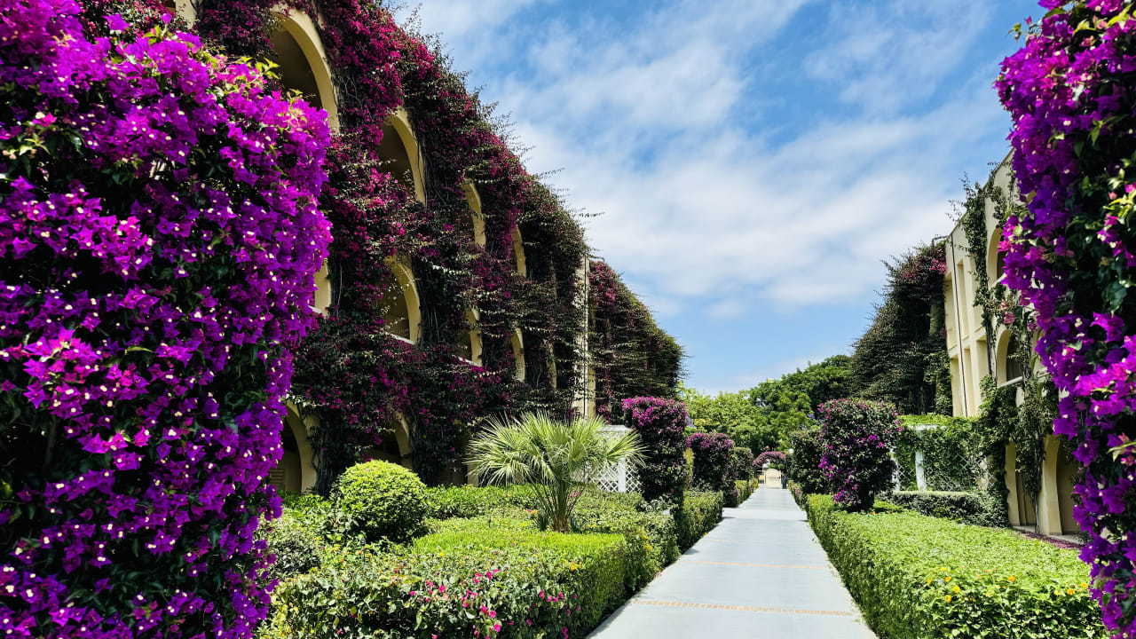 Zimmer TUI MAGIC LIFE Calabria