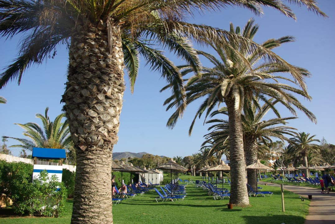 Gartenanlage Anissa Beach & Village