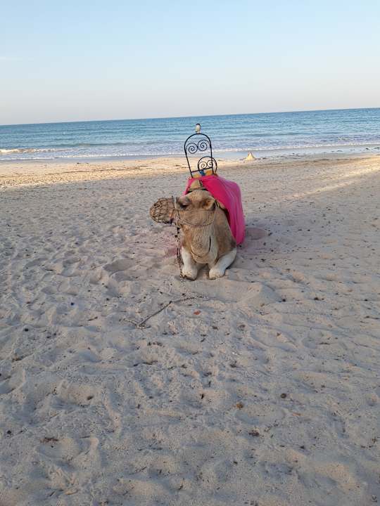 Strand Welcome Meridiana Djerba Hotel