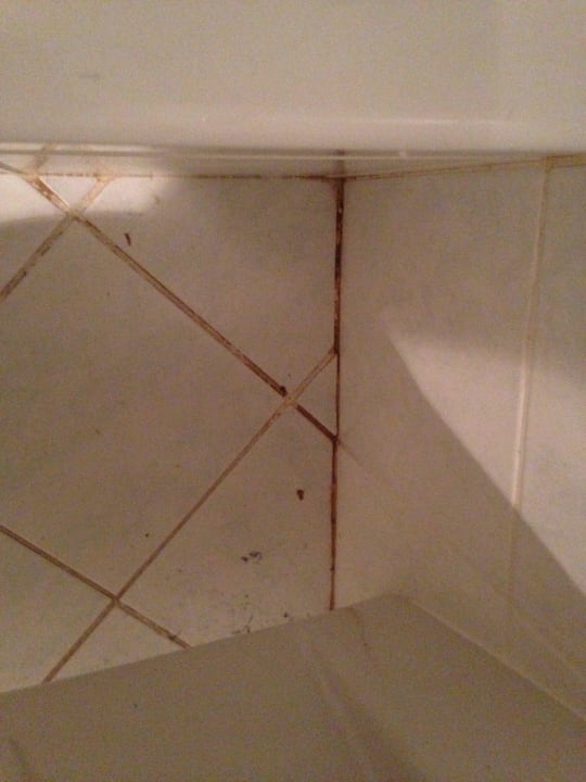 Bad Hotel Bílý Hořec