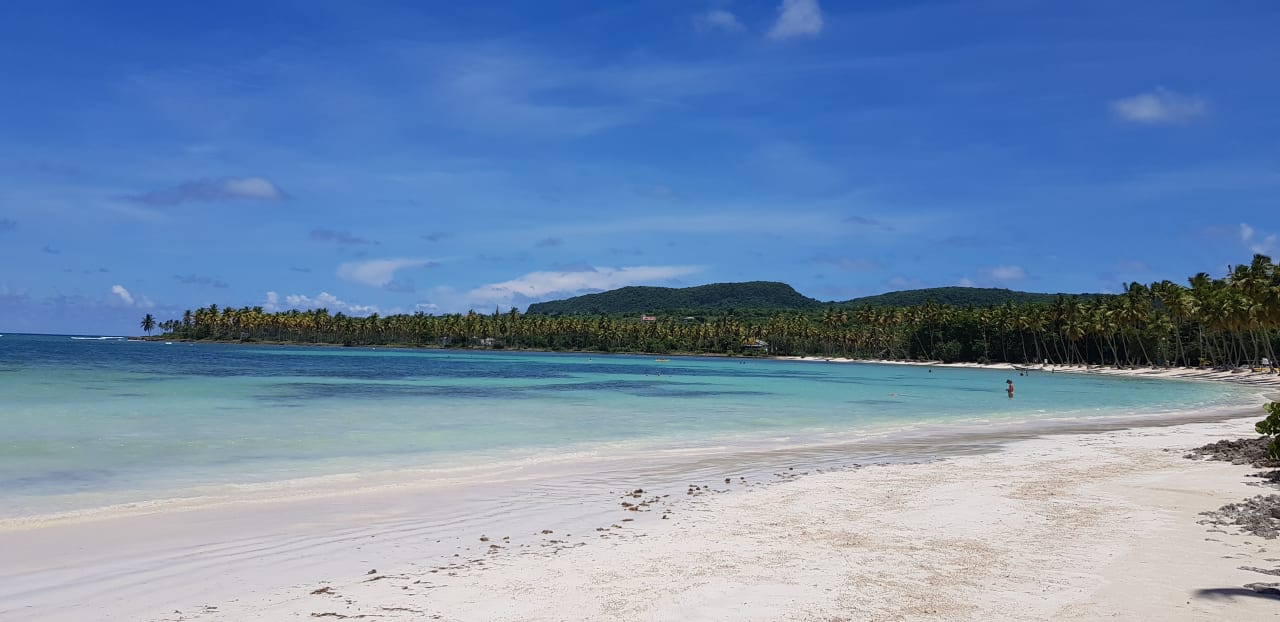 Strand Wyndham Alltra Samana