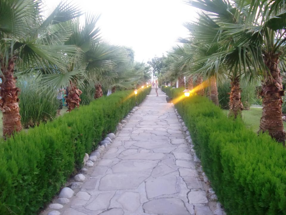 Der Weg zum Strand Iz Flower Side Beach Hotel