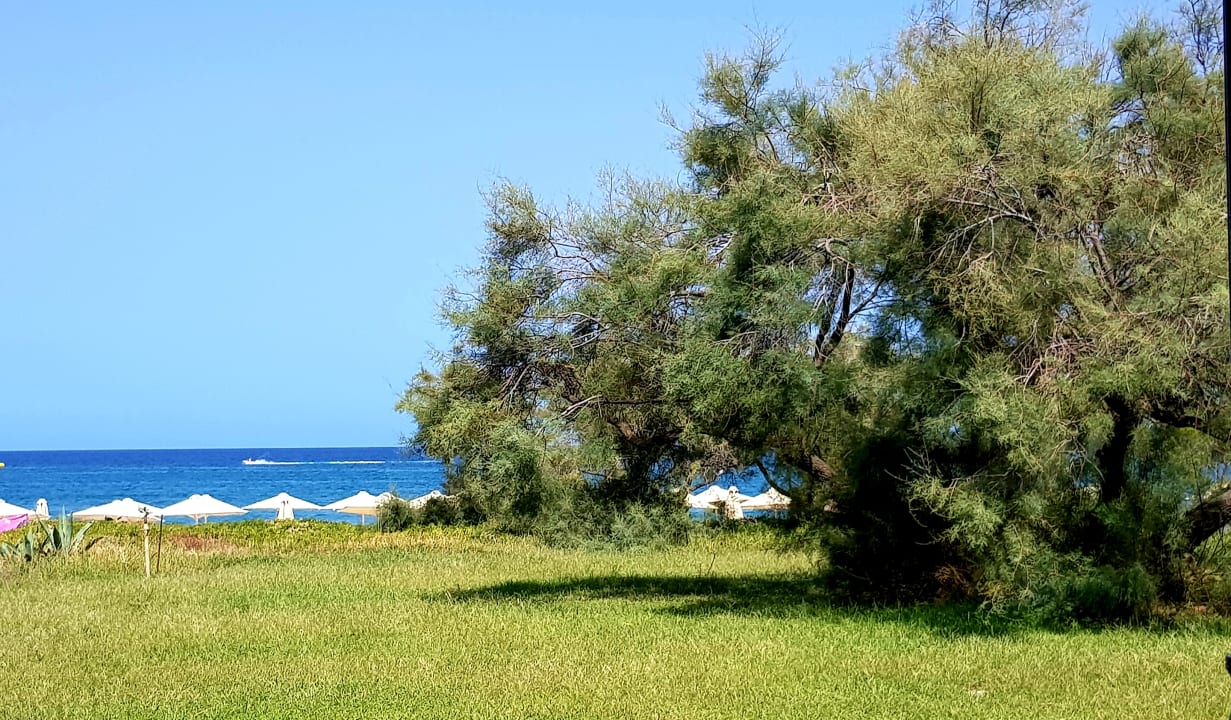 Strand Orpheas Resort - Adults Only