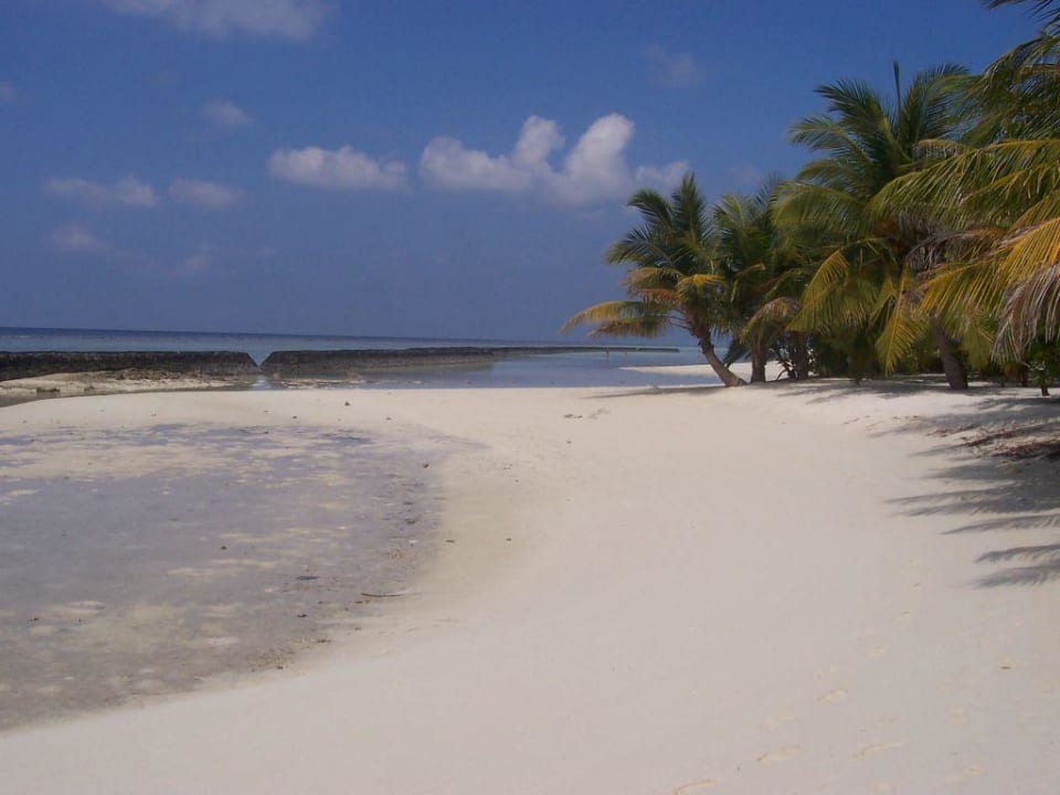 Der Strand vorm Bungalow Kuramathi Maldives