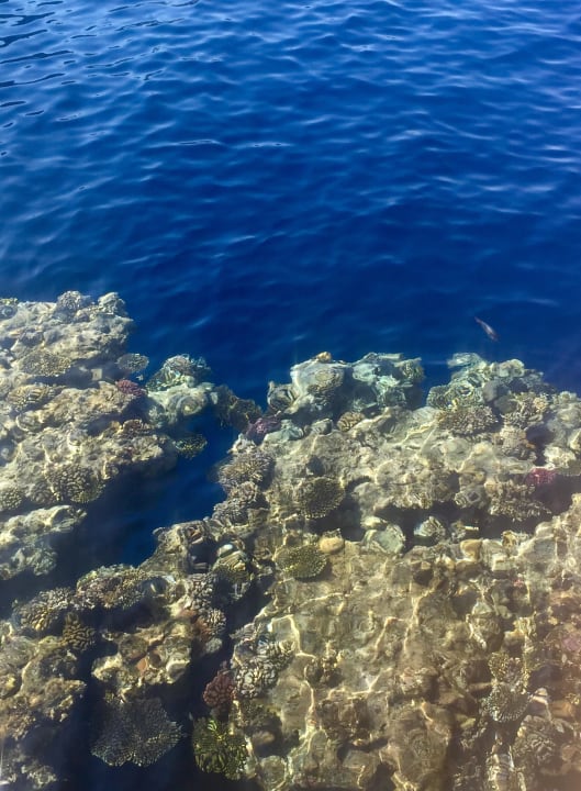 Riff The Grand Hotel Sharm El Sheikh