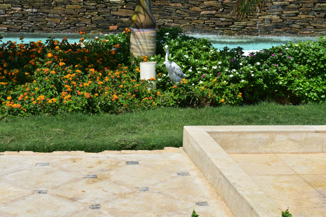 Gartenanlage Makadi Palace