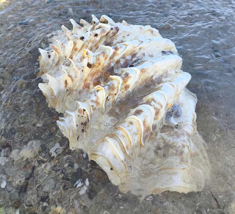 Strand Casa Mare Resort