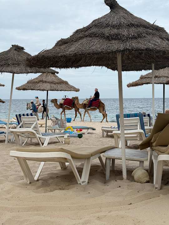 Strand Sentido Bellevue Park