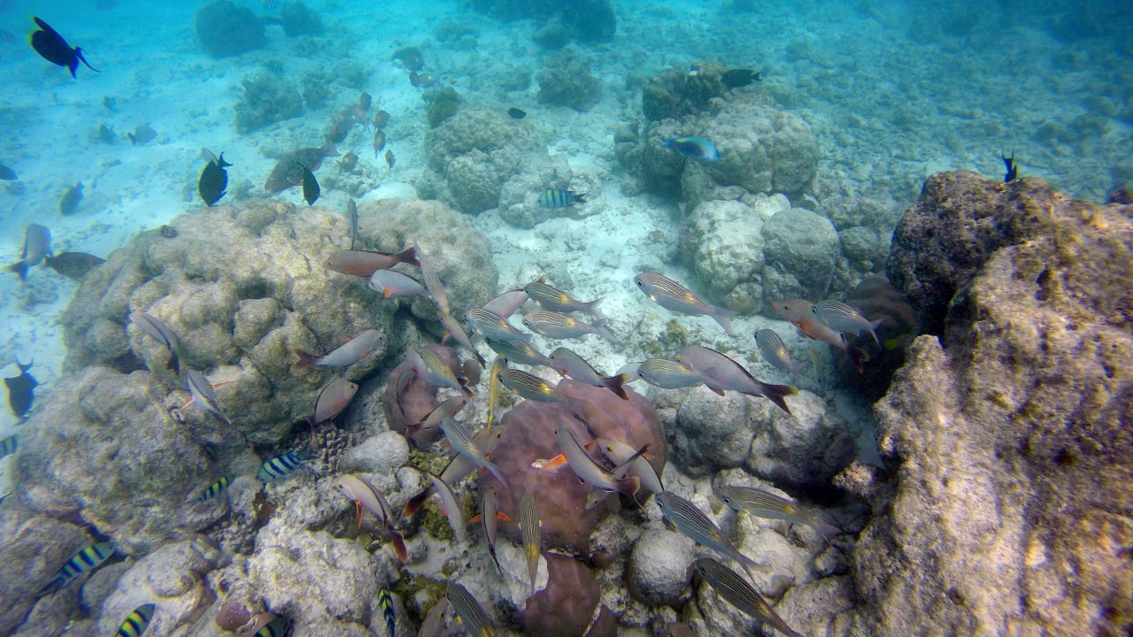 Sport & Freizeit Summer Island Maldives