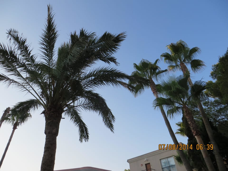 Garten R2 Lago Playa Park