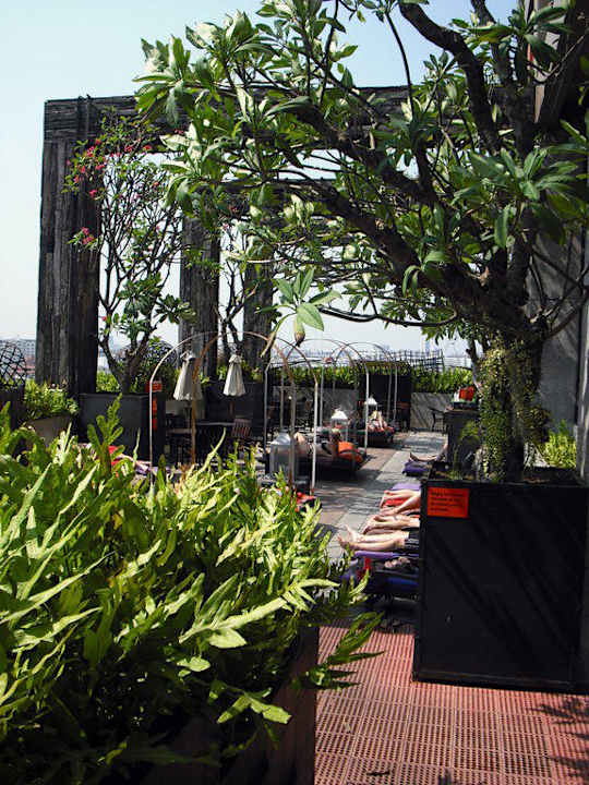 Leider nur 13 Liegen am Pool Siam@Siam Design Hotel Bangkok