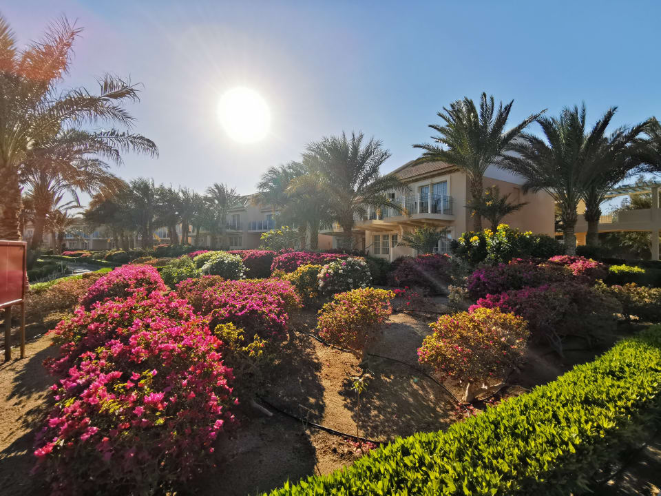 Gartenanlage Mövenpick Resort & Spa El Gouna