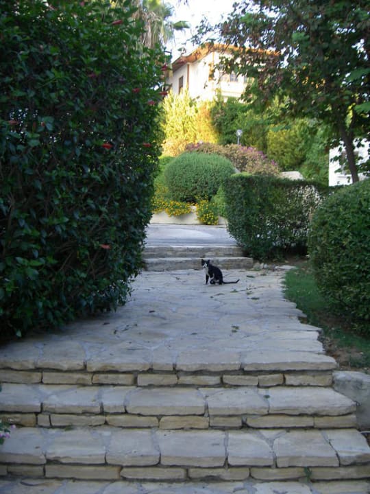 Überall Treppen, toll bei dem guten essen  Side Star Elegance