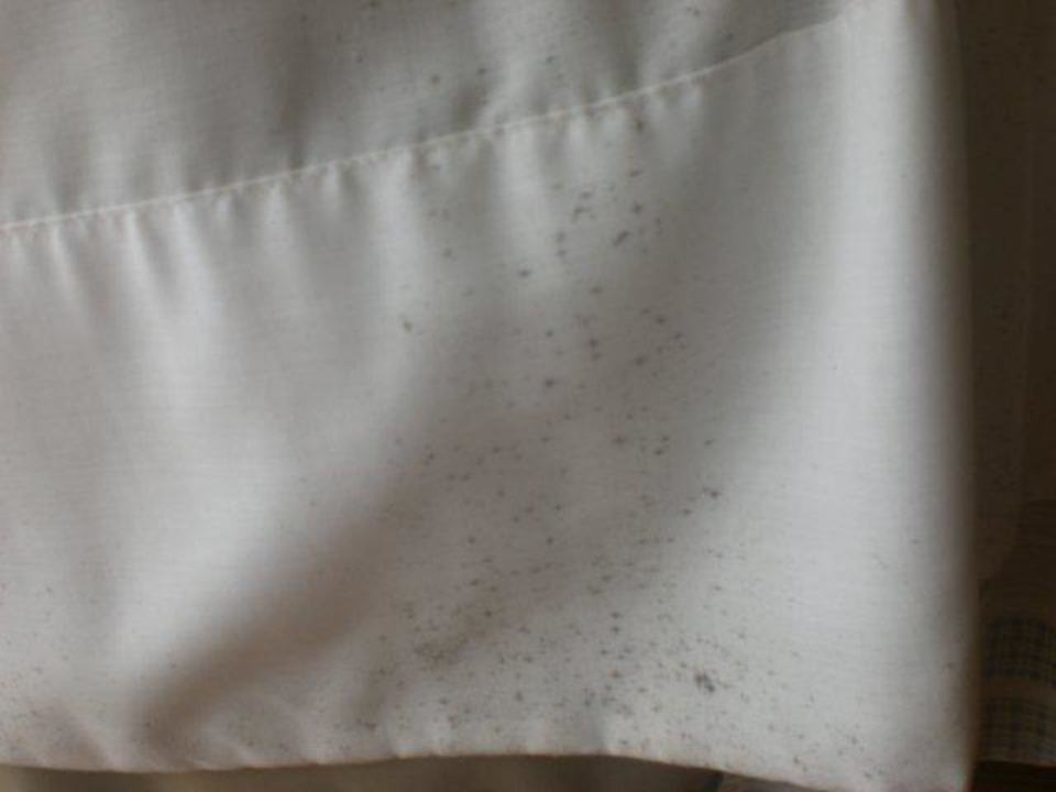 Verschimmelte Gardinen Bei Juan Playa Blanca