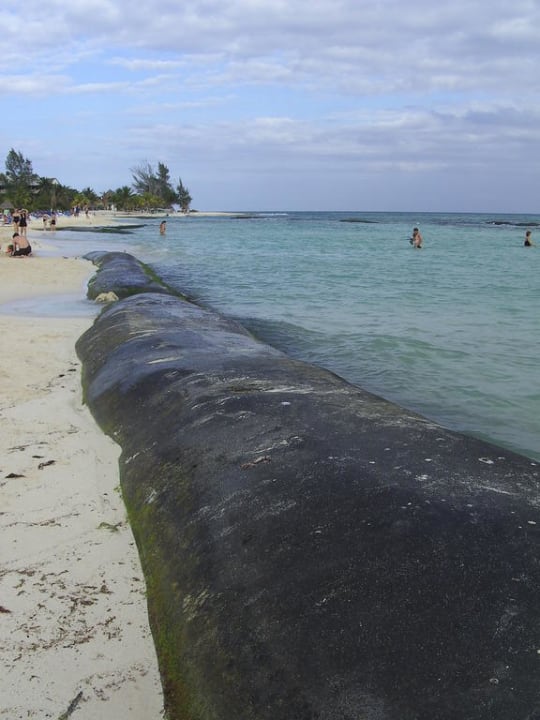 Traumstrand Sandos Caracol- ein Witz! Sandos Caracol Eco Resort