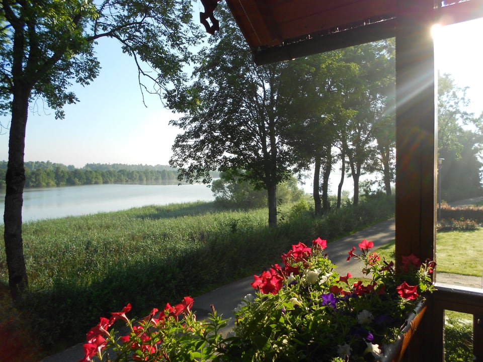 Die Sonne ist schon früh da 2012 Pension Salzingerhof