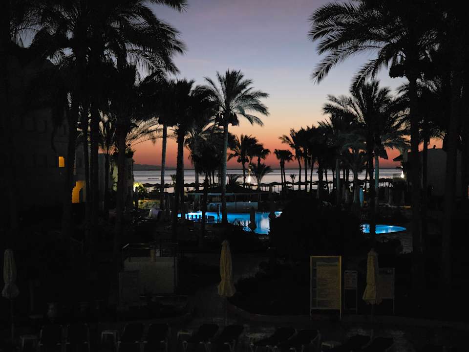 Pool Sea Star Beau Rivage