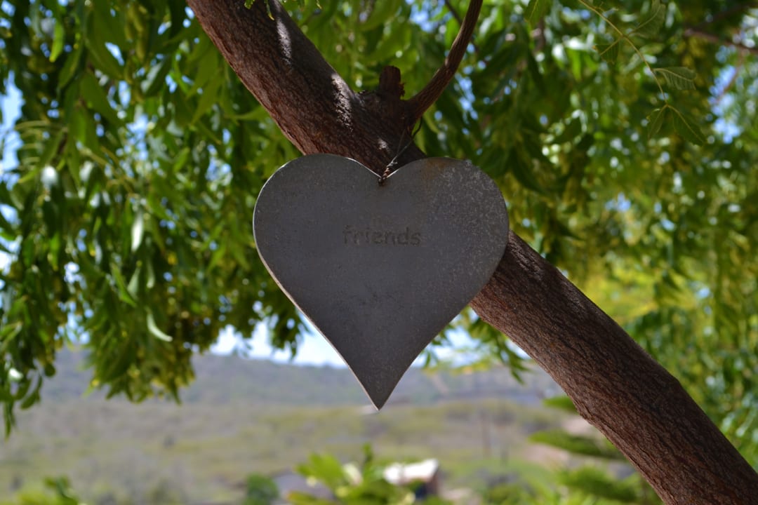 Gartenanlage Jan Kok Lodges