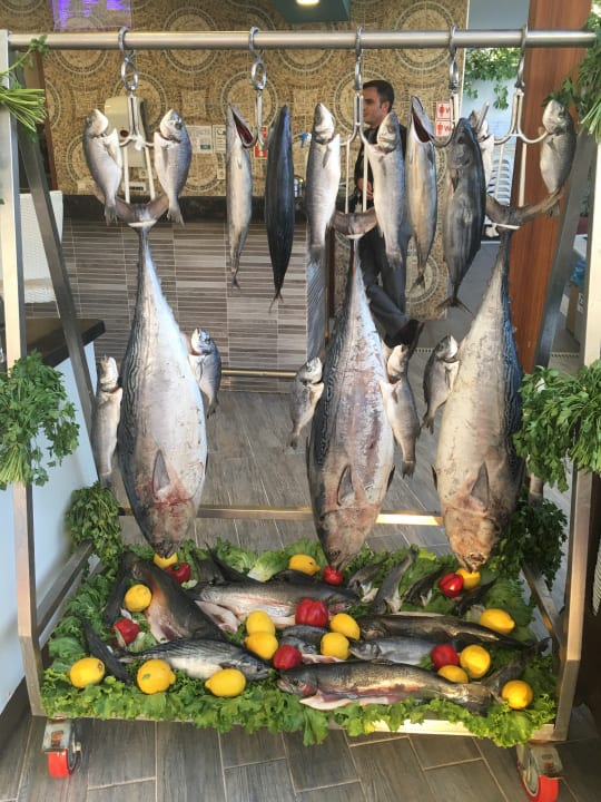 Gartenanlage Dream World Aqua Hotel