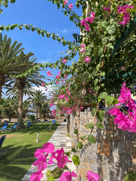Gartenanlage Calimera Sirens Beach