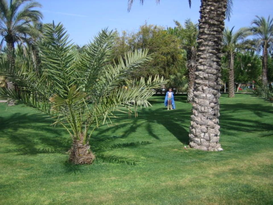 Weitläufiger Garten Blue Waters Club