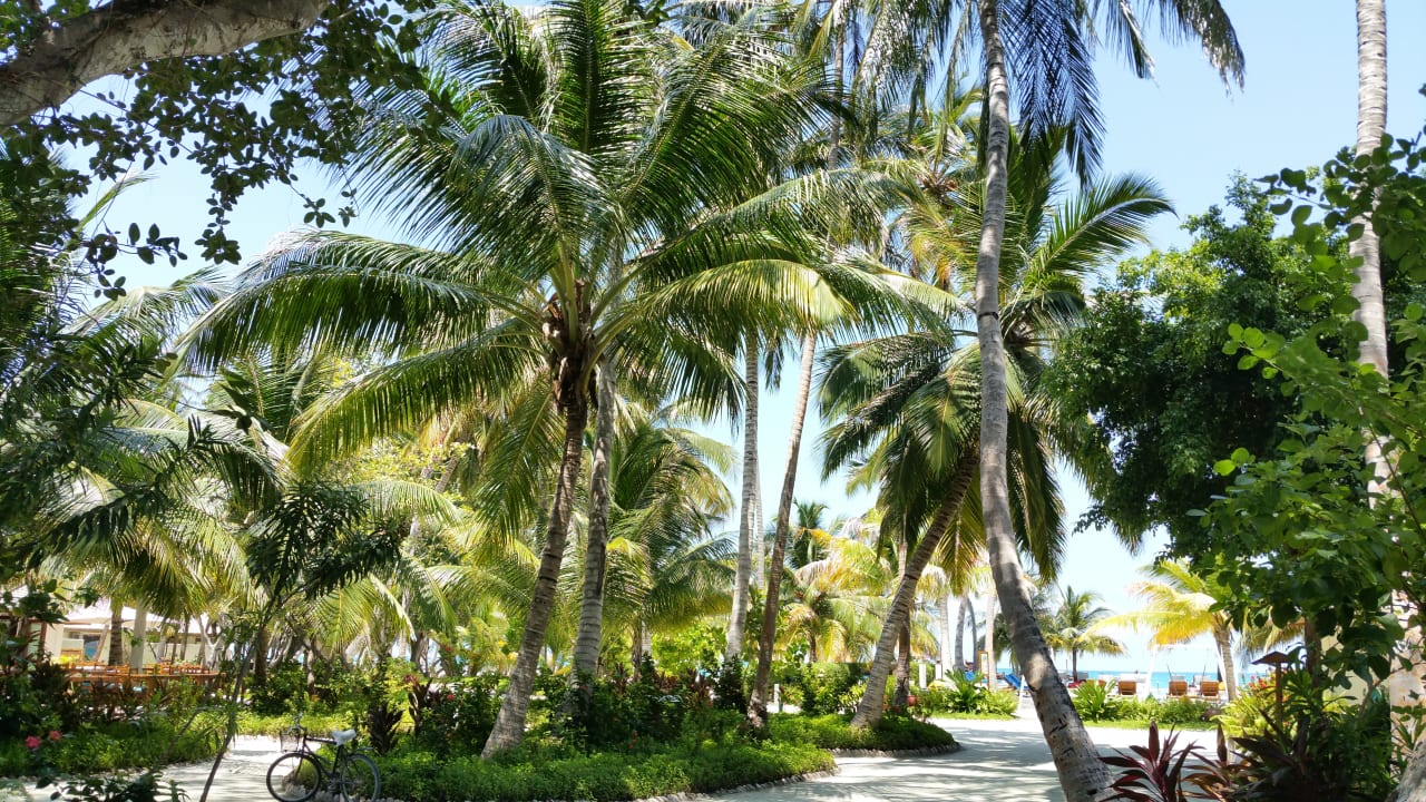 Garten Meeru Maldives Resort Island