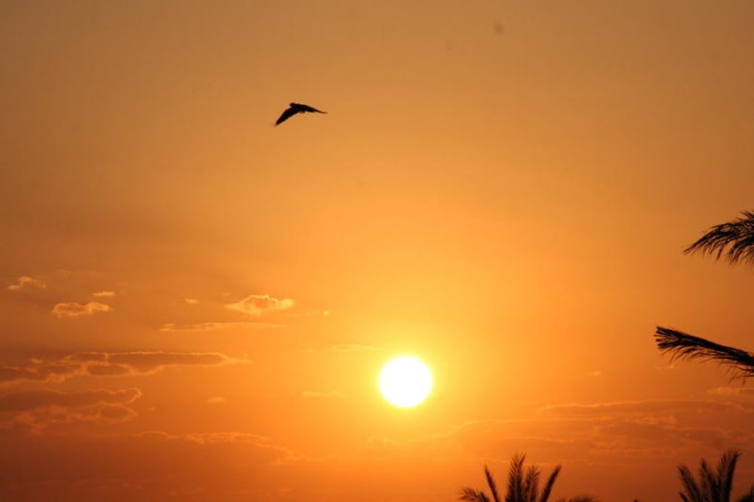 Aldiana Makadi Bay Cleopatra Luxury Resort Makadi Bay