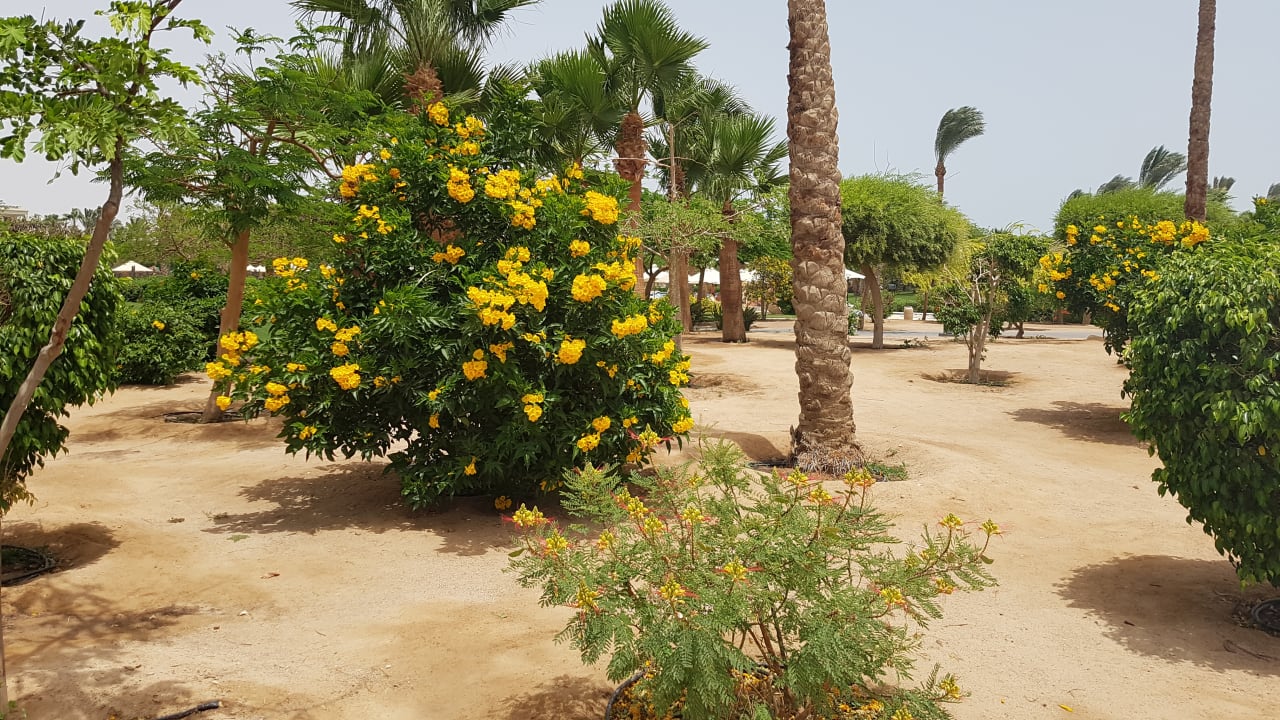 Gartenanlage Steigenberger Aqua Magic