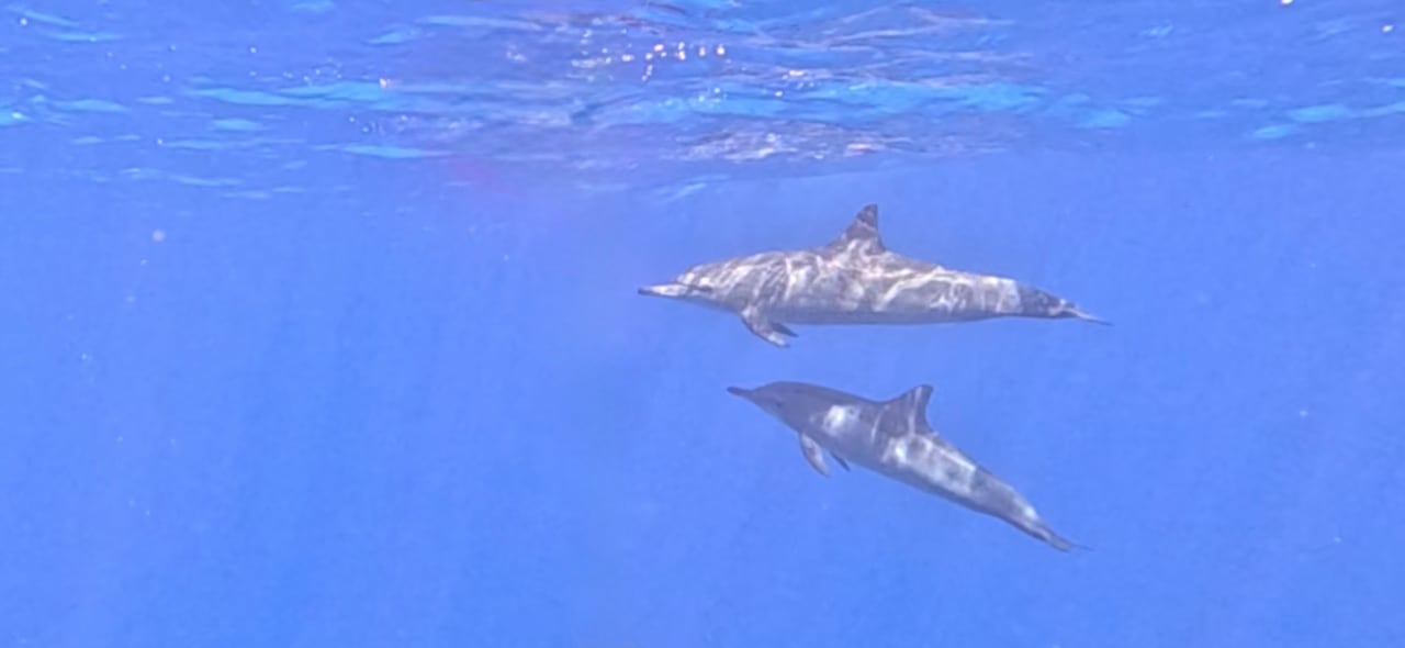 Strand Casa Mare Resort