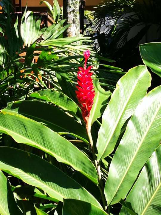 Fauna The Coco de Mer Hotel & Black Parrot Suites