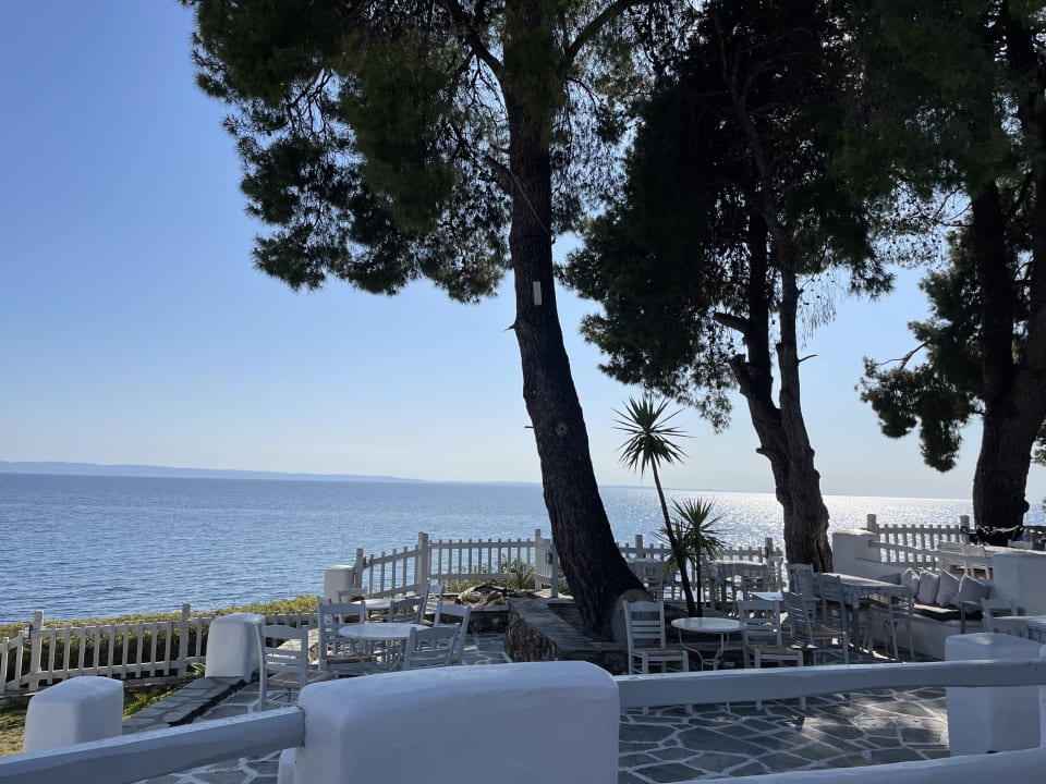 Ausblick Hotel Virginia
