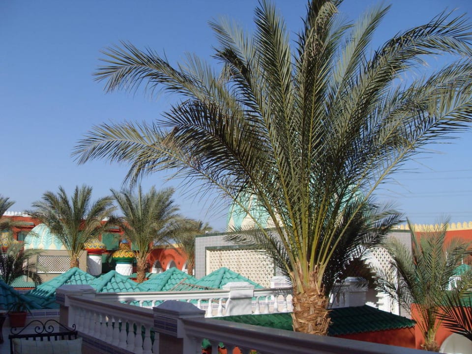 Blick über das Hotel Pickalbatros Alf Leila Wa Leila Resort - Neverland Hurghada