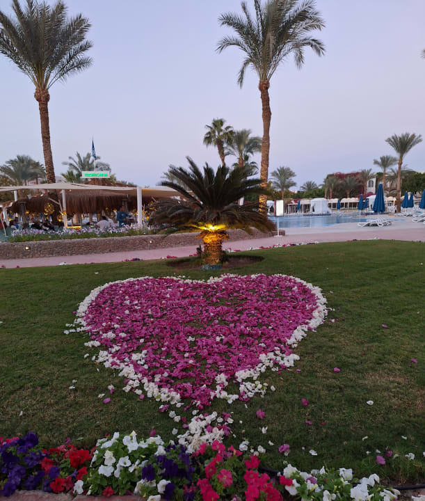 Gartenanlage Desert Rose
