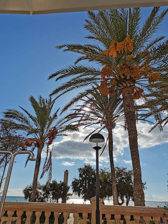 Ausblick allsun Hotel Pil-lari Playa