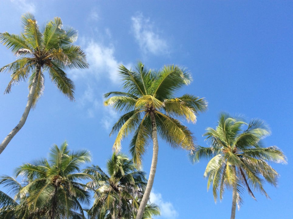 Ostseite Meeru Maldives Resort Island