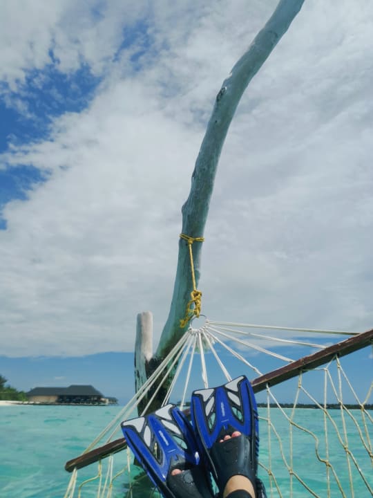 Strand Summer Island Maldives