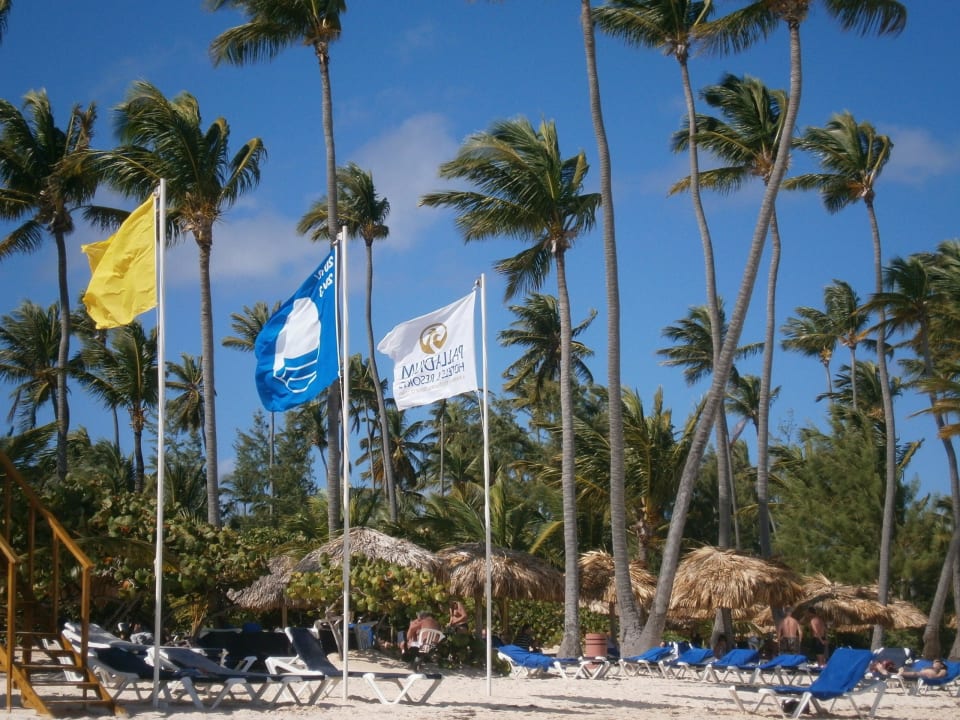 950 m Privatstrand Grand Palladium Select Bávaro Resort & Spa