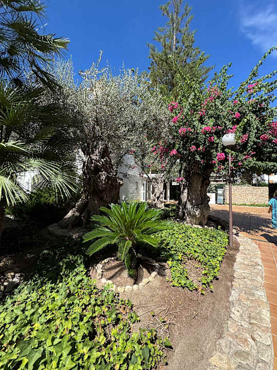 Gartenanlage Alcudia Garden Aparthotel