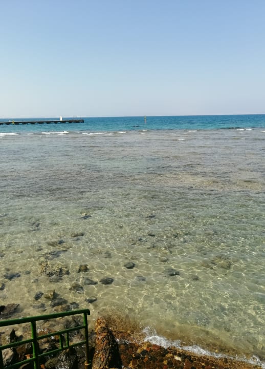 Ausblick Desert Rose