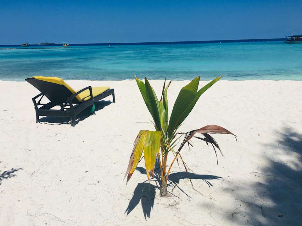 Strand Summer Island Maldives