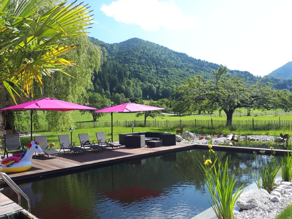 Pool Gästehaus Gutfelder Hof