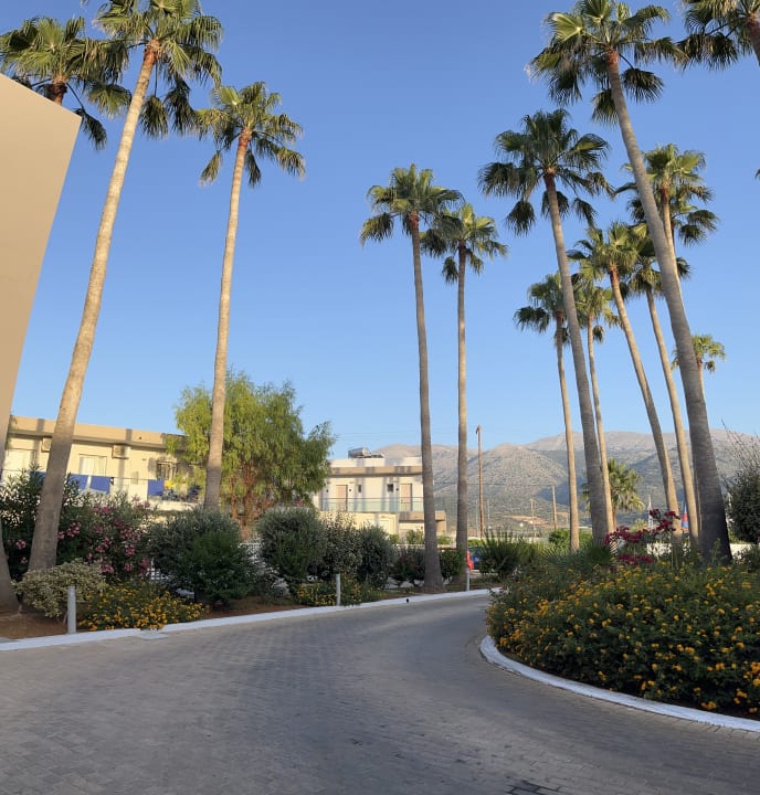 Gartenanlage allsun Hotel Carolina Mare