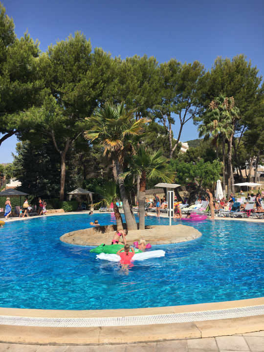 Pool BQ Belvedere Hotel