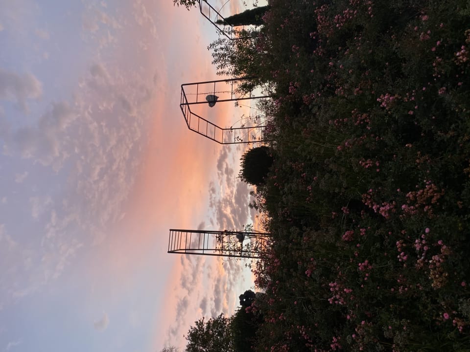 Gartenanlage Spirit & SPA Hotel Birkenhof am Elfenhain