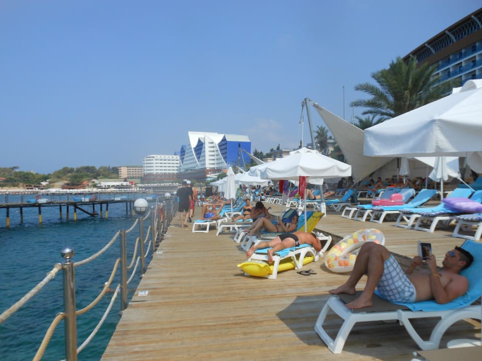Steg Granada Luxury Okurcalar