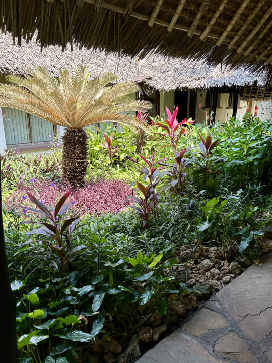 Gartenanlage Bahari Beach Hotel