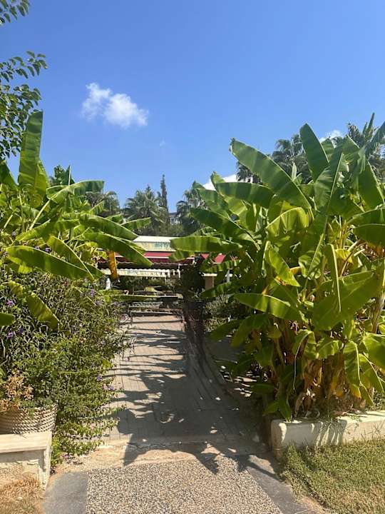 Strand Merve Sun Hotel & Spa